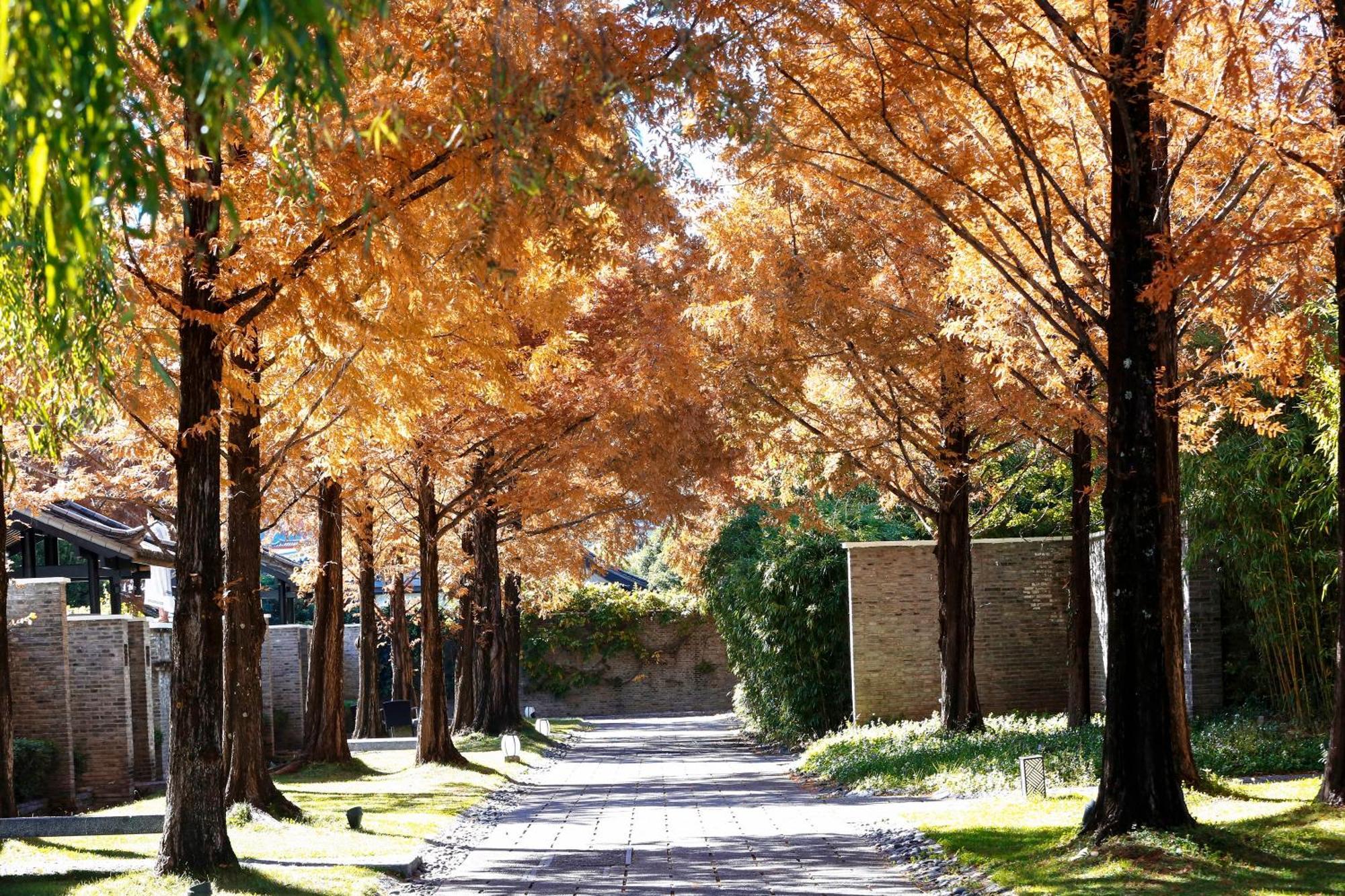 Banyan Tree Lijiang Hotel Лиджанг Екстериор снимка