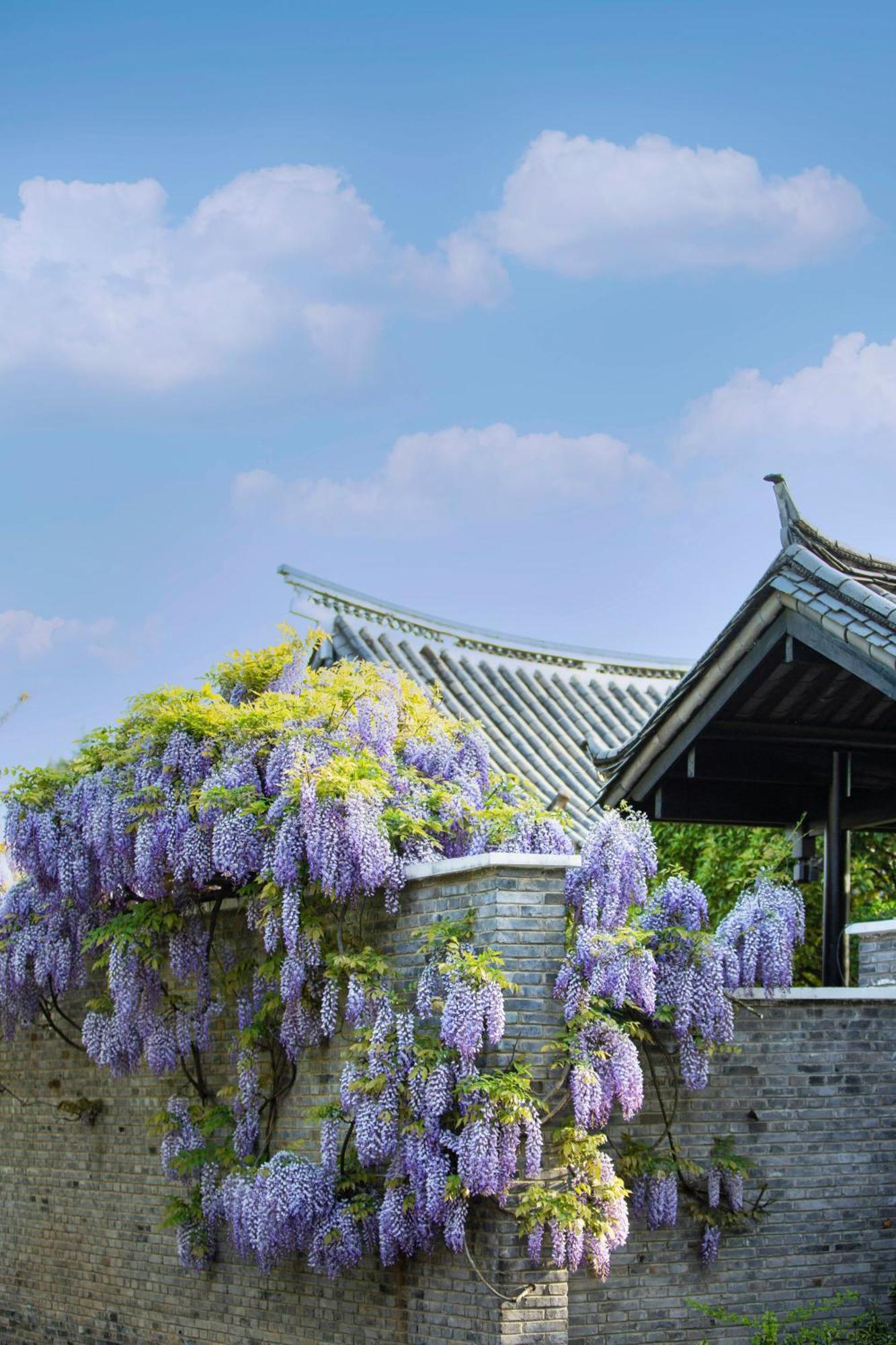 Banyan Tree Lijiang Hotel Лиджанг Екстериор снимка